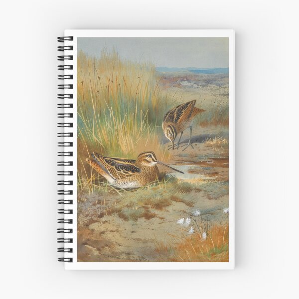 Item preview, Archibald Thorburn: A Pair of Snipe designed and sold by Tridentulus.