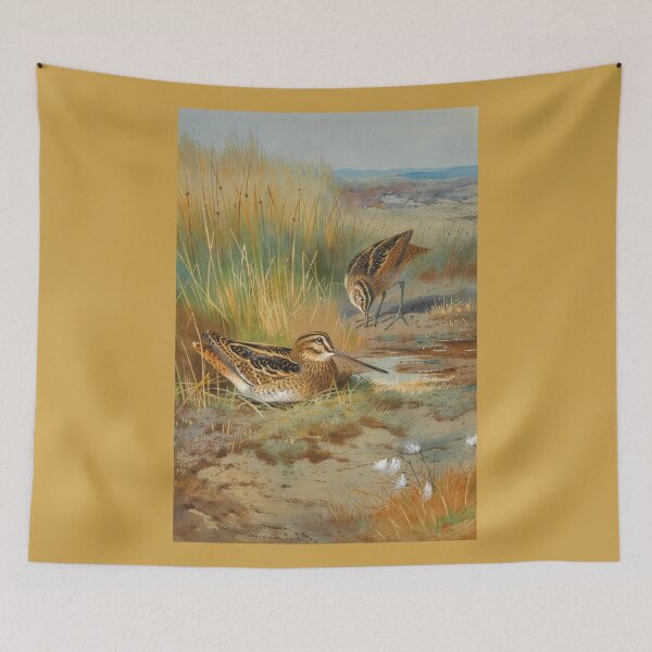 Item preview, Archibald Thorburn: A Pair of Snipe designed and sold by Tridentulus.
