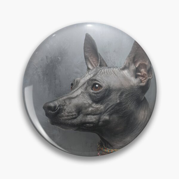 Item preview, Xolo Portrait designed and sold by Elisabeth Lucas.