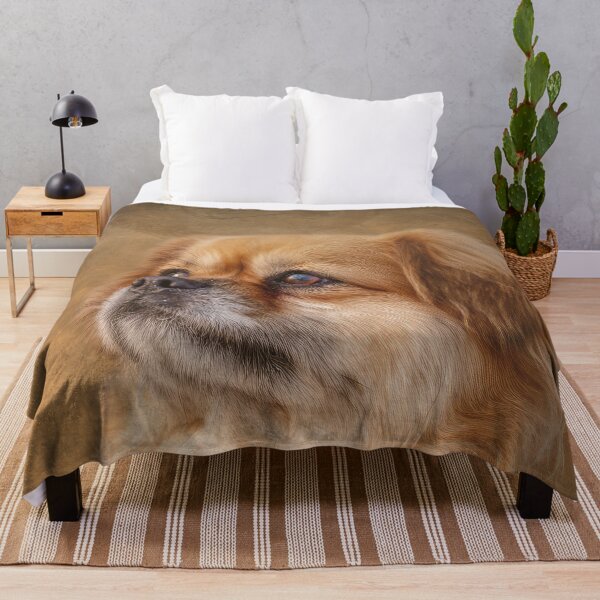 Item preview, Tibetan Spaniel Portrait designed and sold by Elisabeth Lucas.