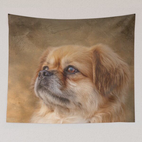 Item preview, Tibetan Spaniel Portrait designed and sold by Elisabeth Lucas.
