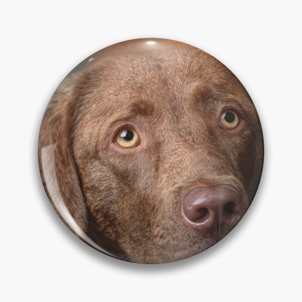 Item preview, Chesapeake Bay Retriever designed and sold by Elisabeth Lucas.