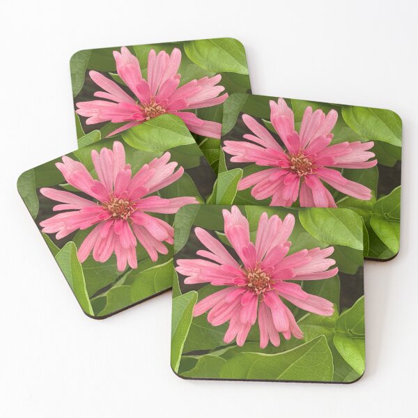 Item preview, Pink zinnia flower designed and sold by redsamm.