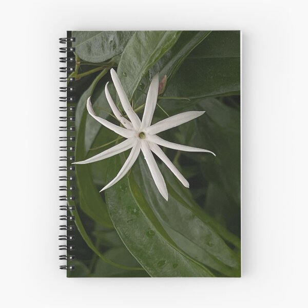 Item preview, White flower designed and sold by redsamm.