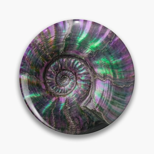 Item preview, Iridescent Ammonite Fossil designed and sold by Tridentulus.
