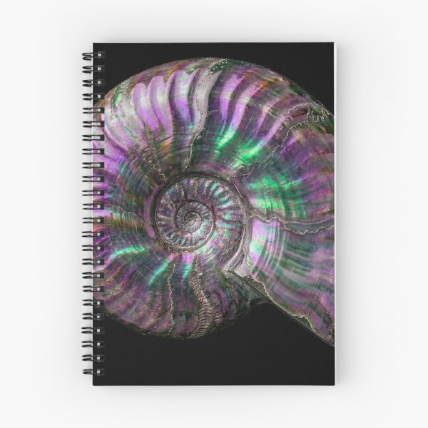 Item preview, Iridescent Ammonite Fossil designed and sold by Tridentulus.
