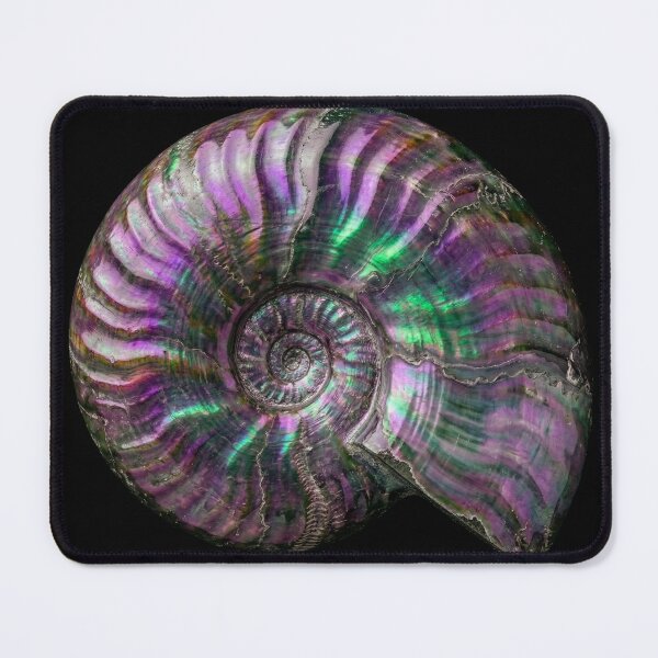 Item preview, Iridescent Ammonite Fossil designed and sold by Tridentulus.