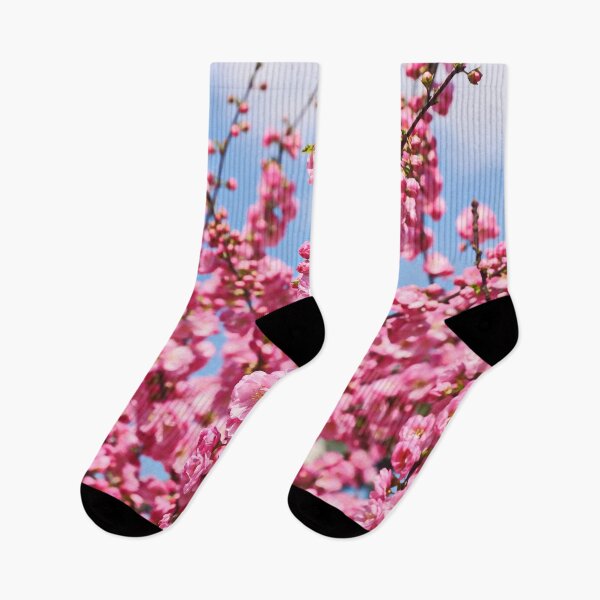 Item preview, Blooming Pink Sakura Against Bright Blue Sky designed and sold by Holub Art Studio & design.