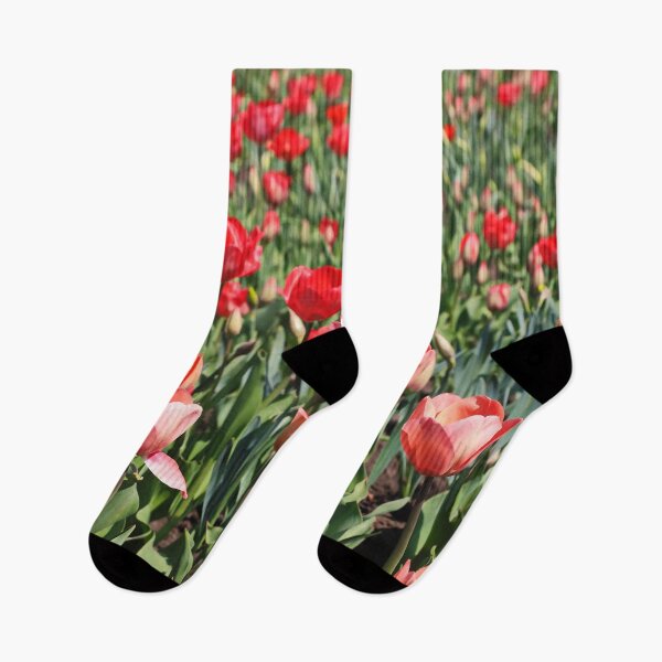 Item preview, Nature’s Symphony in a Red Tulip Field designed and sold by Holub Art Studio & design.