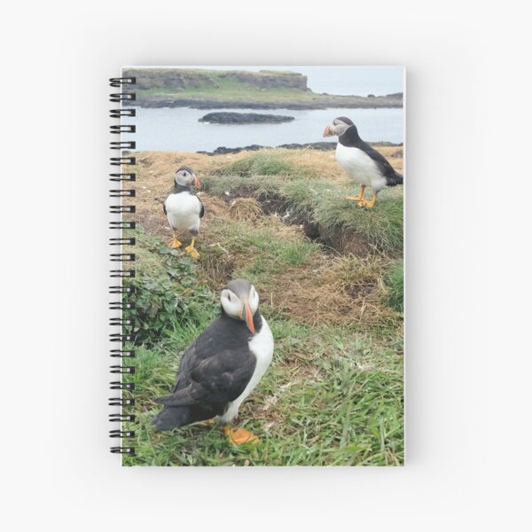 Item preview, puffins of the Treshnish Isles designed and sold by Thistle Images.