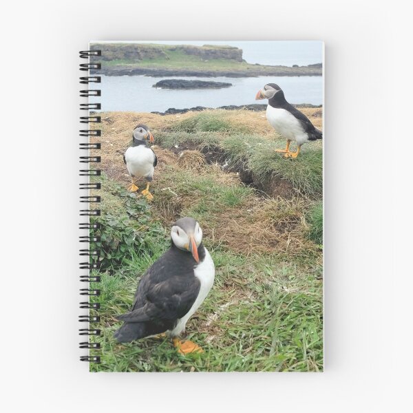 Item preview, frailecillos de las Treshnish Isles designed and sold by Thistle Images.