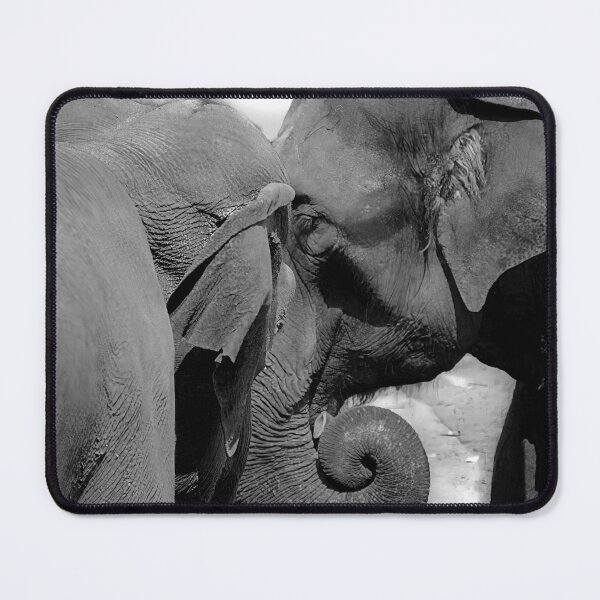 Item preview, An Elephant Conversation designed and sold by Robert Lacy.