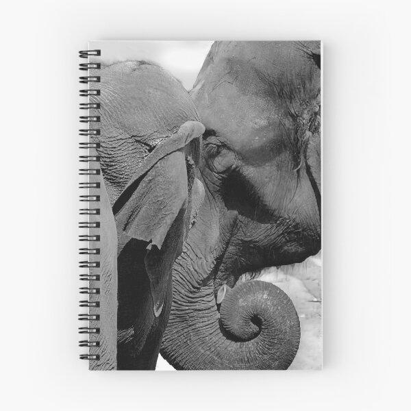 Item preview, An Elephant Conversation designed and sold by Robert Lacy.