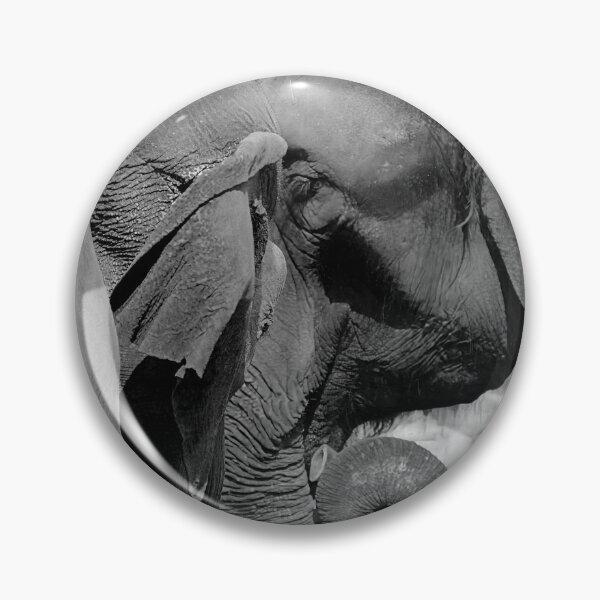 Item preview, An Elephant Conversation designed and sold by Robert Lacy.