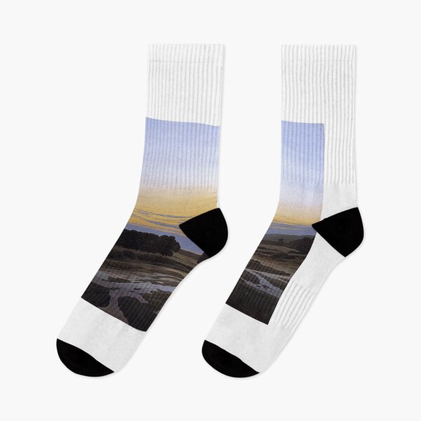 Item preview, The Große Gehege near Dresden (1832) – Caspar David Friedrich designed and sold by Art Outlaws.