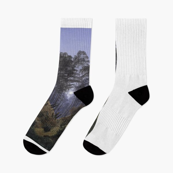 Item preview, Forest Interior by Moonlight (c. 1810) – Caspar David Friedrich designed and sold by Art Outlaws.