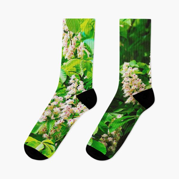 Item preview, Blooming White Chestnut Blossoms in Spring designed and sold by Holub Art Studio & design.