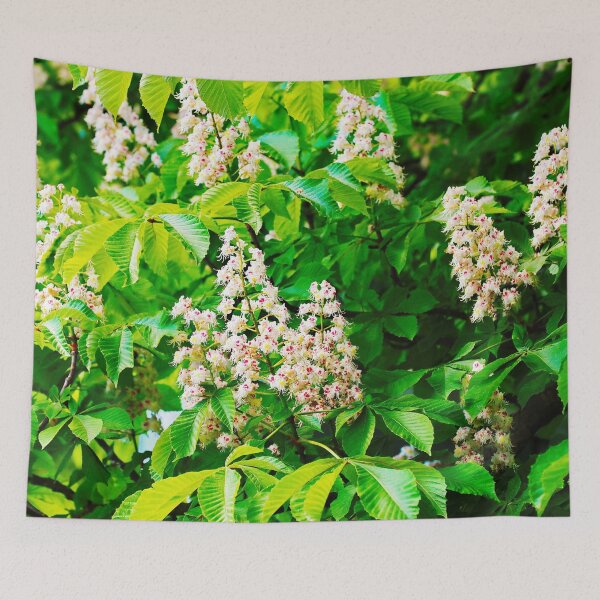 Item preview, Blooming White Chestnut Blossoms in Spring designed and sold by Holub Art Studio & design.