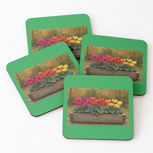 Item preview, Colourful Cyclamen Flowers designed and sold by FoliageFrontier.