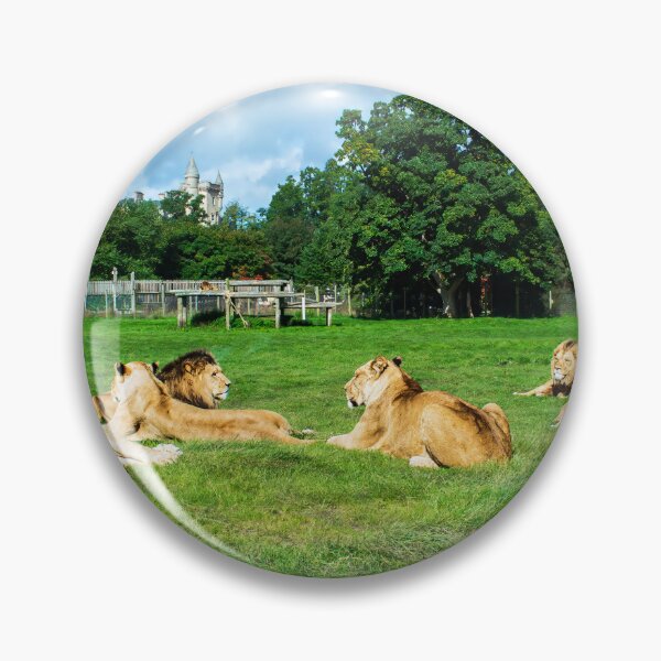 Item preview, Pride of Lions designed and sold by RJW Images.