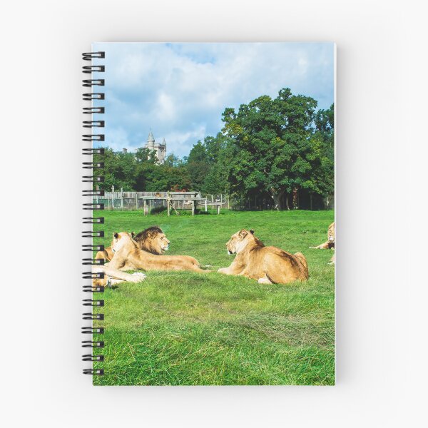 Item preview, Pride of Lions designed and sold by RJW Images.