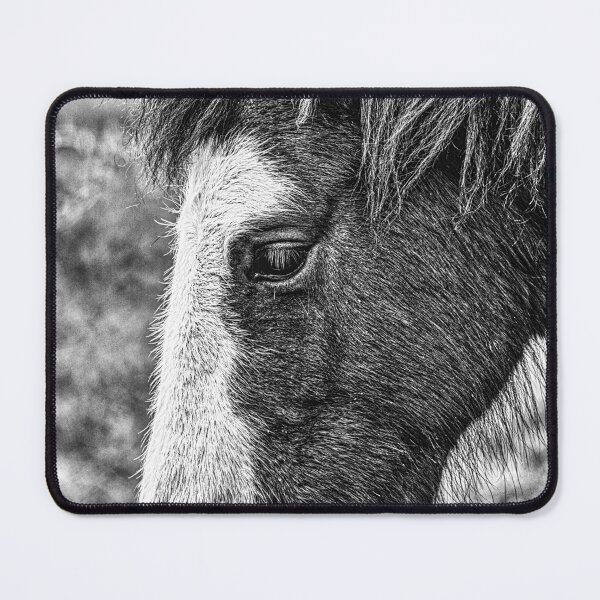 Item preview, Black and White Horse Portrait - Fine Art Photography designed and sold by Keltoi-art.