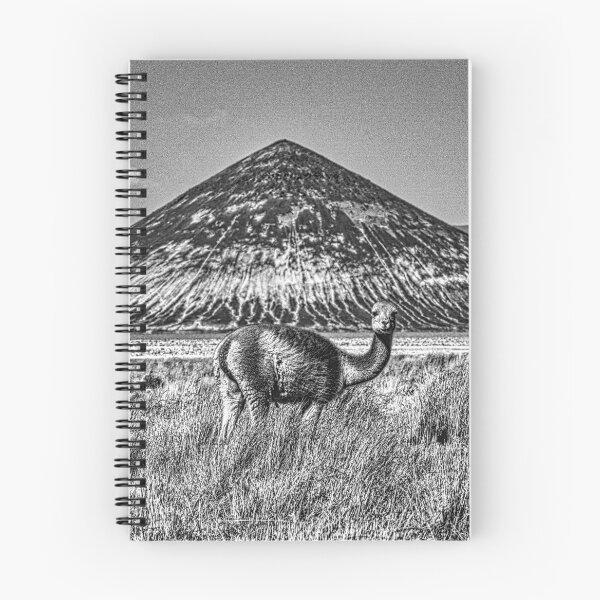 Item preview, Vicuña in front of the Cono de Arita - Black and White Photography Argentina designed and sold by Keltoi-art.