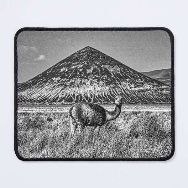 Item preview, Vicuña in front of the Cono de Arita - Black and White Photography Argentina designed and sold by Keltoi-art.
