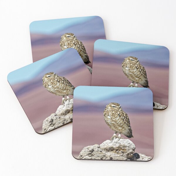 Item preview, Burrowing Owl on a Rock - Altiplano Wildlife Argentina designed and sold by Keltoi-art.