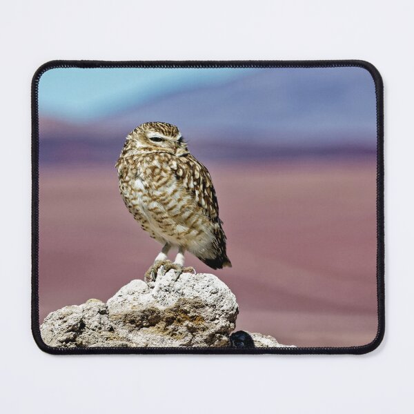 Item preview, Burrowing Owl on a Rock - Altiplano Wildlife Argentina designed and sold by Keltoi-art.