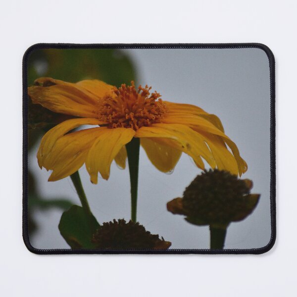 Item preview, Yellow Flower in the Mist designed and sold by MercerImages.