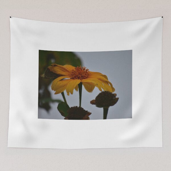 Item preview, Yellow Flower in the Mist designed and sold by MercerImages.