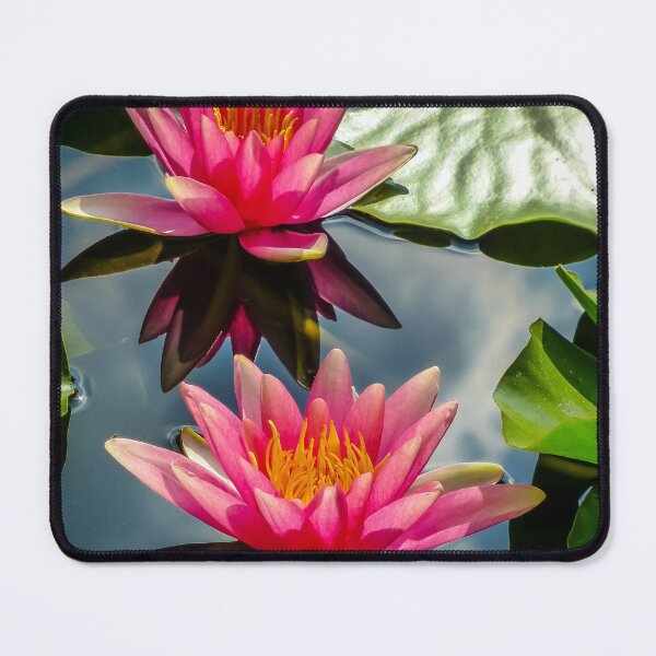 Item preview, Water Lilies designed and sold by Viv Thompson Photography .