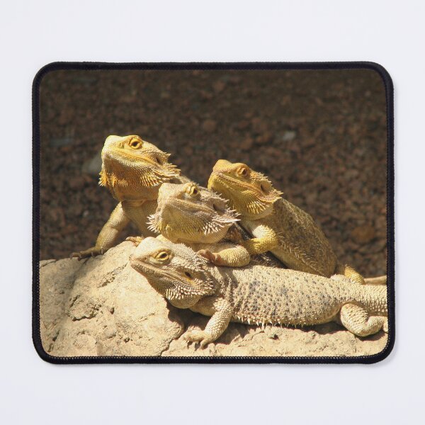 Item preview, Togetherness designed and sold by IndyLady.