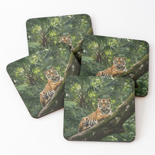 Item preview, A tiger sat on a tree trunk in a jungle looking at front face designed and sold by MagicMaker1984.