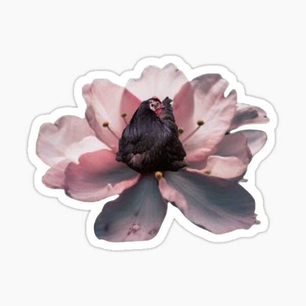 Smol chicken in the flower Sticker