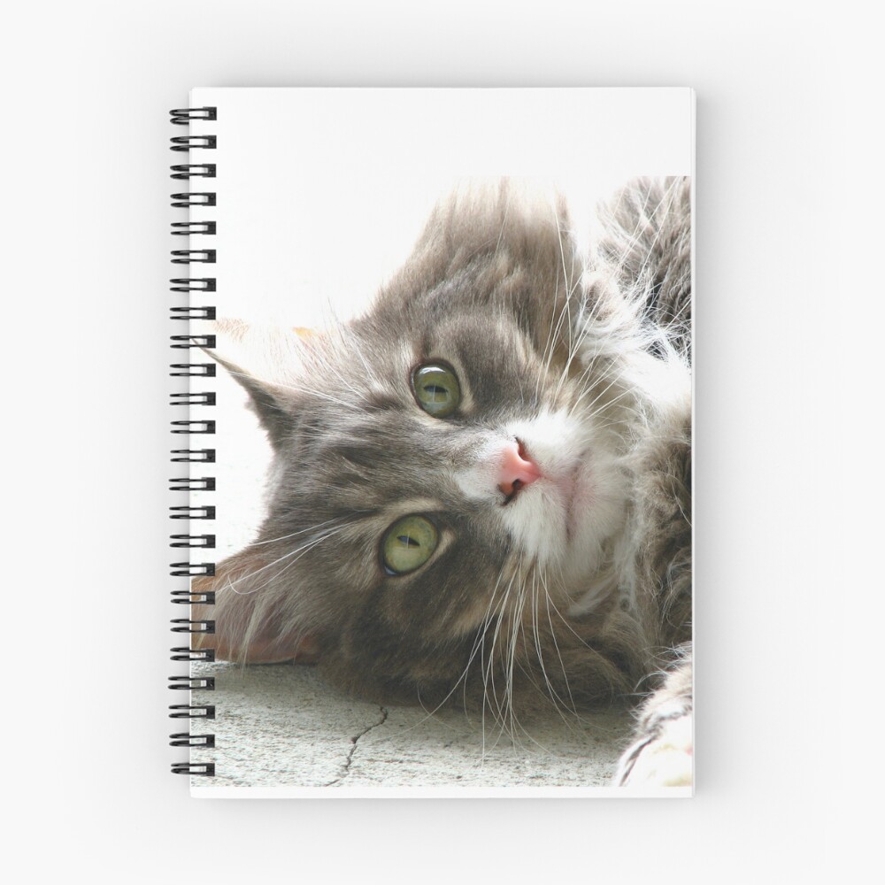 Item preview, Spiral Notebook designed and sold by IndyLady.