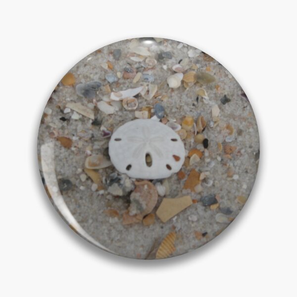 Item preview, Sanddollar on the beach designed and sold by IndyLady.