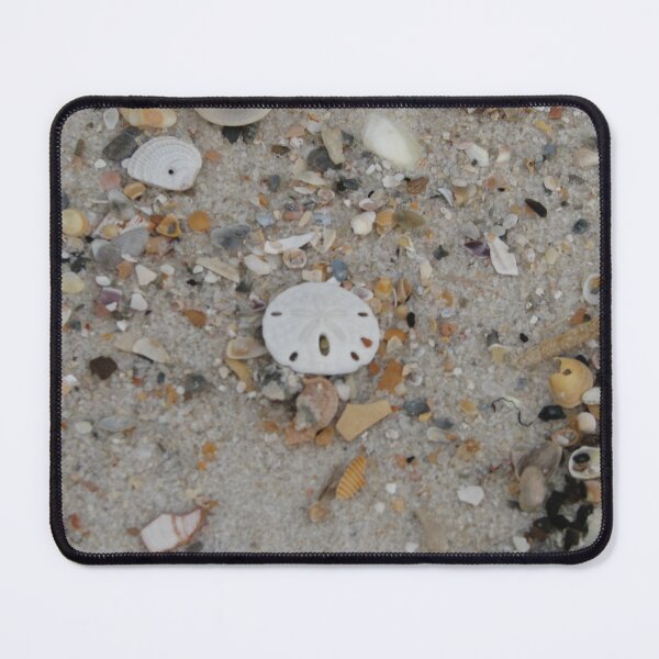 Item preview, Sanddollar on the beach designed and sold by IndyLady.