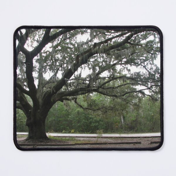 Item preview, Live Oak - Alabama designed and sold by IndyLady.