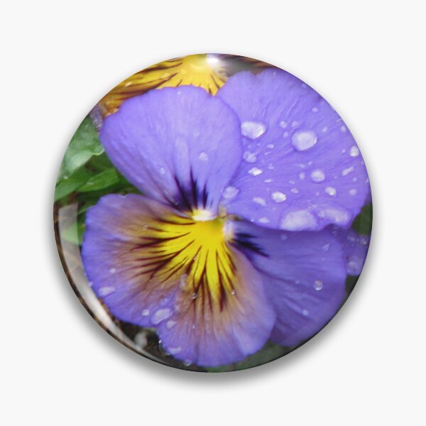 Item preview, Raindrops on Pansies designed and sold by IndyLady.