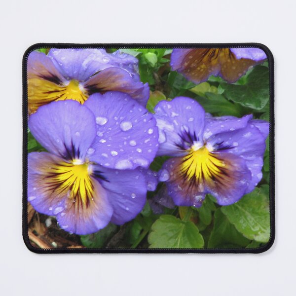 Item preview, Raindrops on Pansies designed and sold by IndyLady.