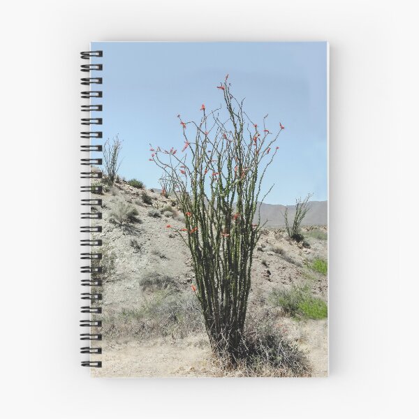 Item preview, Ocotillo in the Anza Borrego Desert designed and sold by heatherfriedman.