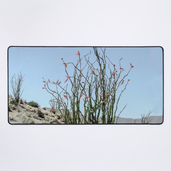 Item preview, Ocotillo in the Anza Borrego Desert designed and sold by heatherfriedman.