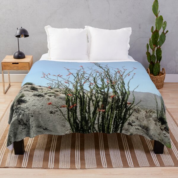 Item preview, Ocotillo in the Anza Borrego Desert designed and sold by heatherfriedman.