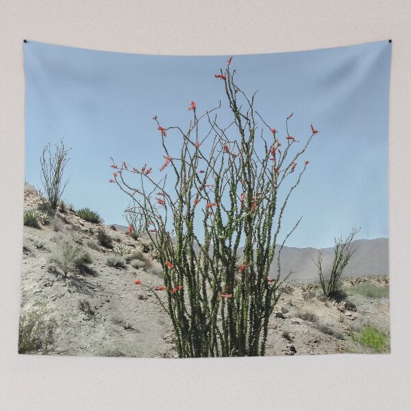 Item preview, Ocotillo en el desierto de Anza Borrego designed and sold by heatherfriedman.