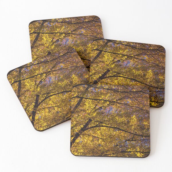 Item preview, November in the Trees designed and sold by James Hoffman.