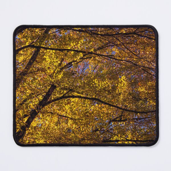 Item preview, November in the Trees designed and sold by James Hoffman.