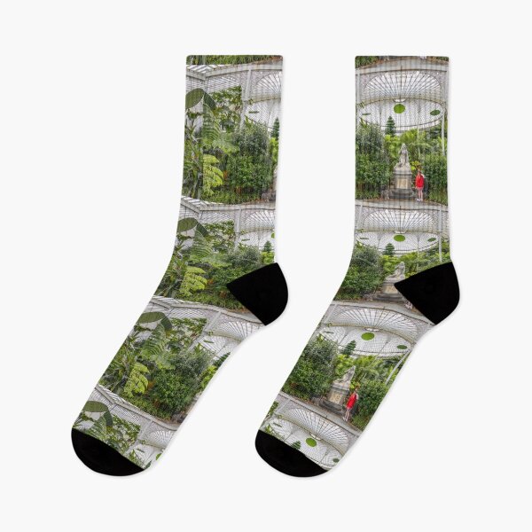 Item preview, UK. Scotland. Glasgow. Botanic Gardens. Greenhouse. designed and sold by vadim19.