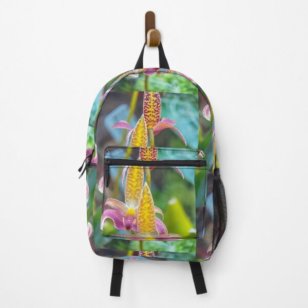 Item preview, UK. Scotland. Glasgow. Botanic Gardens. Orchids. designed and sold by vadim19.